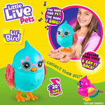 Little Live Pets Cocoritos S3 - Surfy Chirps (LPB12001)