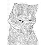 Kaleidoscope Colouring Book 96pp: Animals and More (KAL-10)