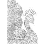 Kaleidoscope Colouring Book 96pp: Animals and More (KAL-10)