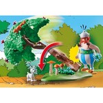 Playmobil Asterix Κυνήγι Αγριογούρουνου (71160)
