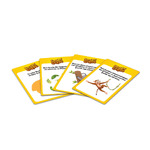 Smart Cards Ζωάκια